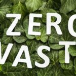 zero waste lifestyle guide